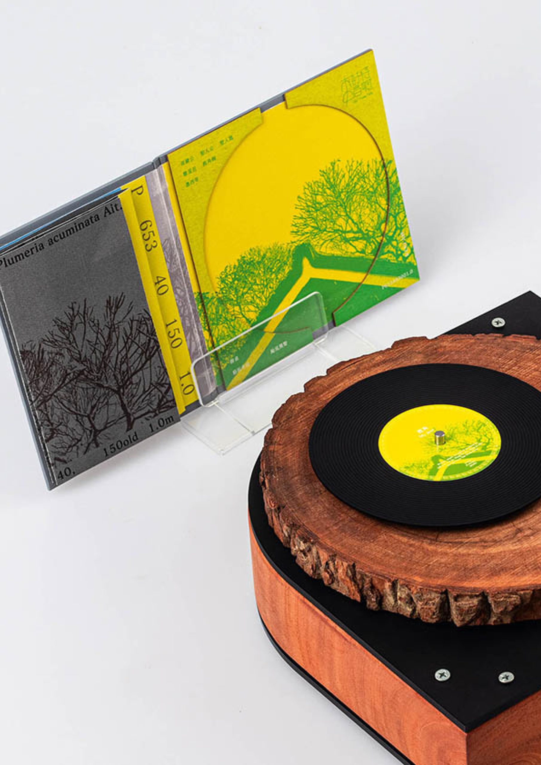 Old Trees TaleWork Photo