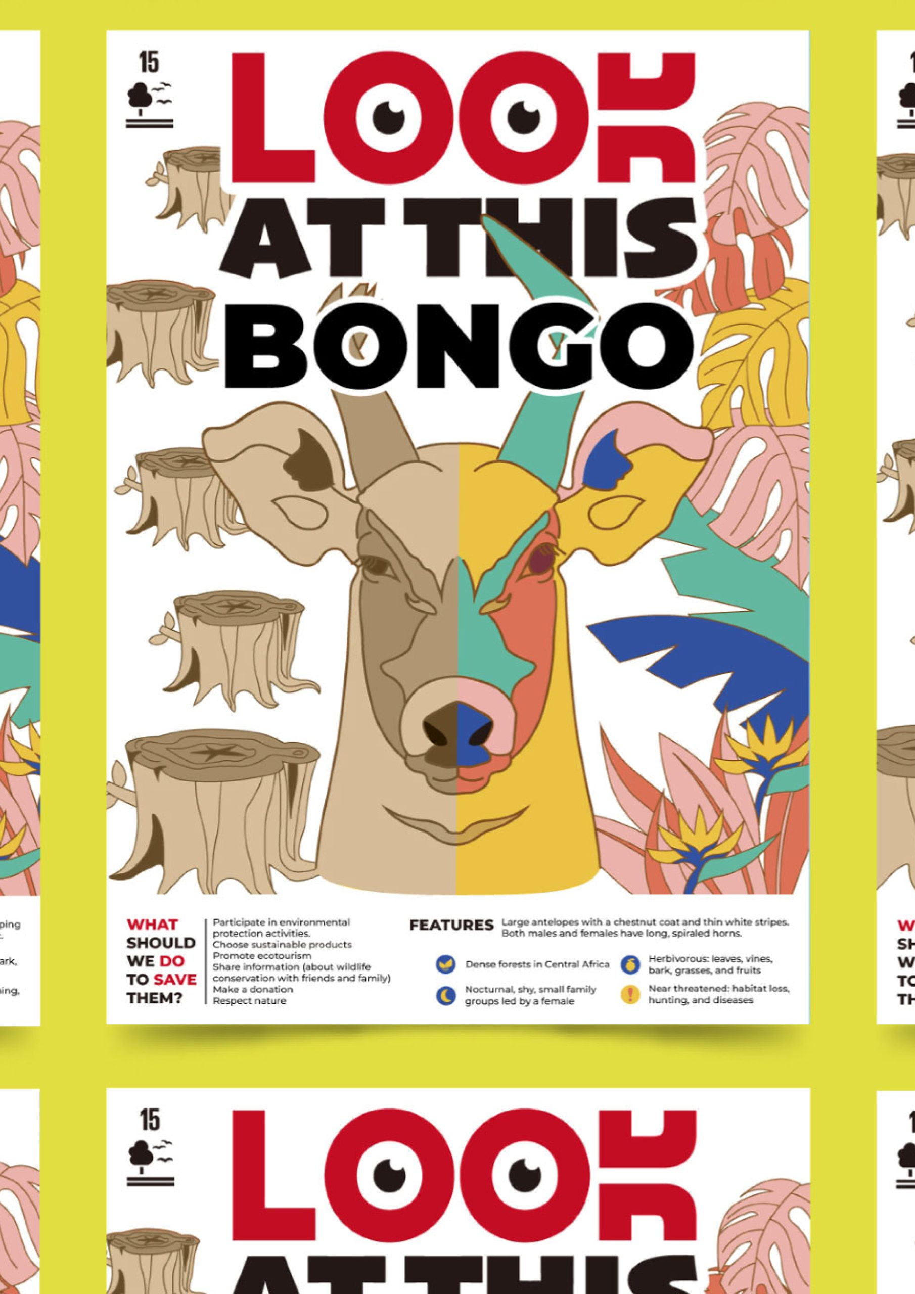 Look at this 作品照片